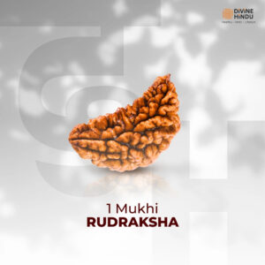1 Mukhi Lab Certified Rudraksha