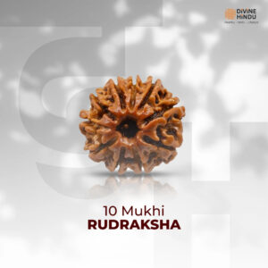10 Mukhi Lab Tested Certified Rudraksha